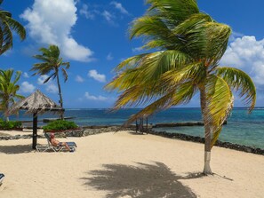 A beach with a thatched hut, palm trees, and a clear blue sky.