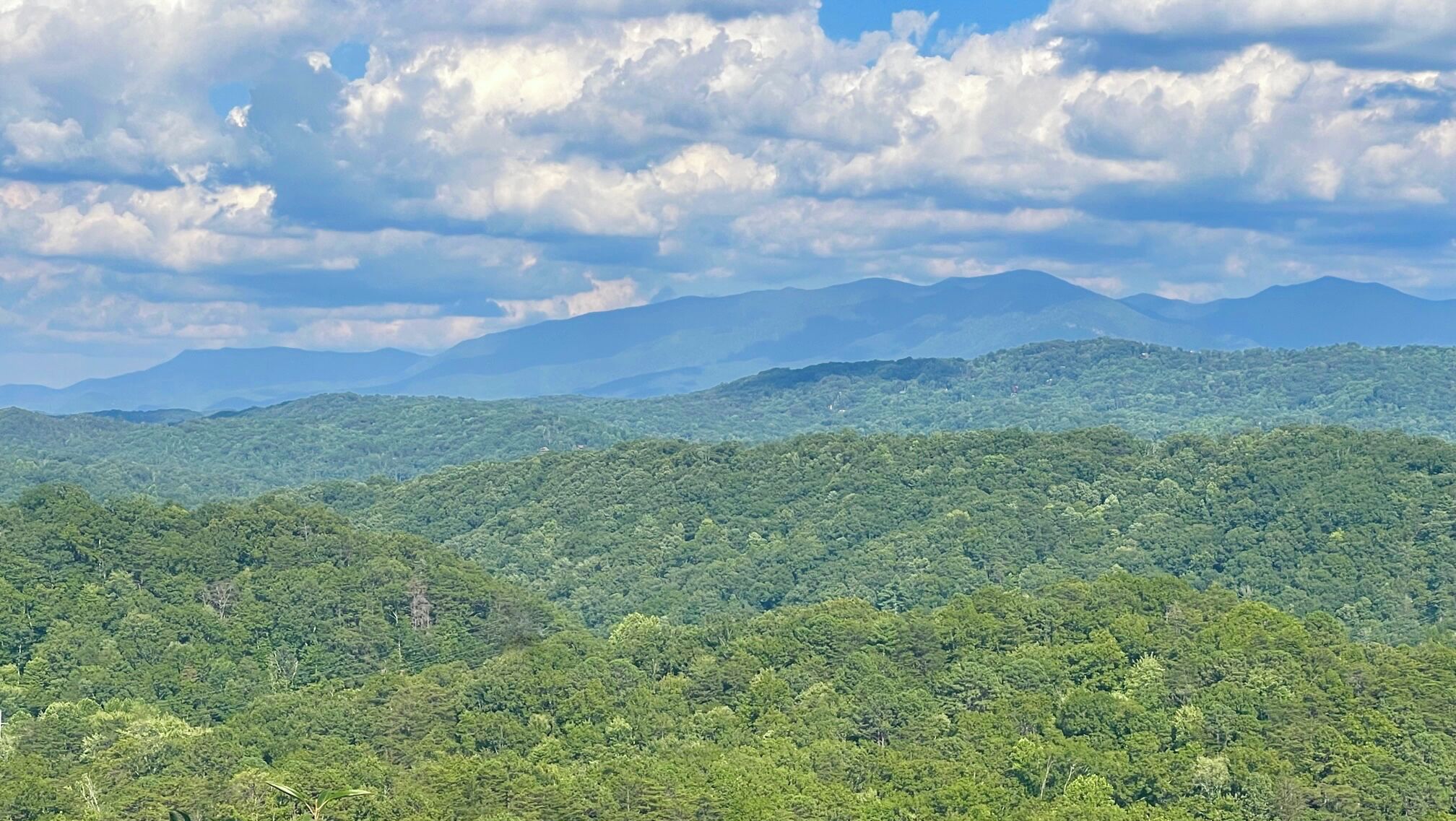 A dense forested landscape with rolling hills and distant mountains under a partly cloudy sky.