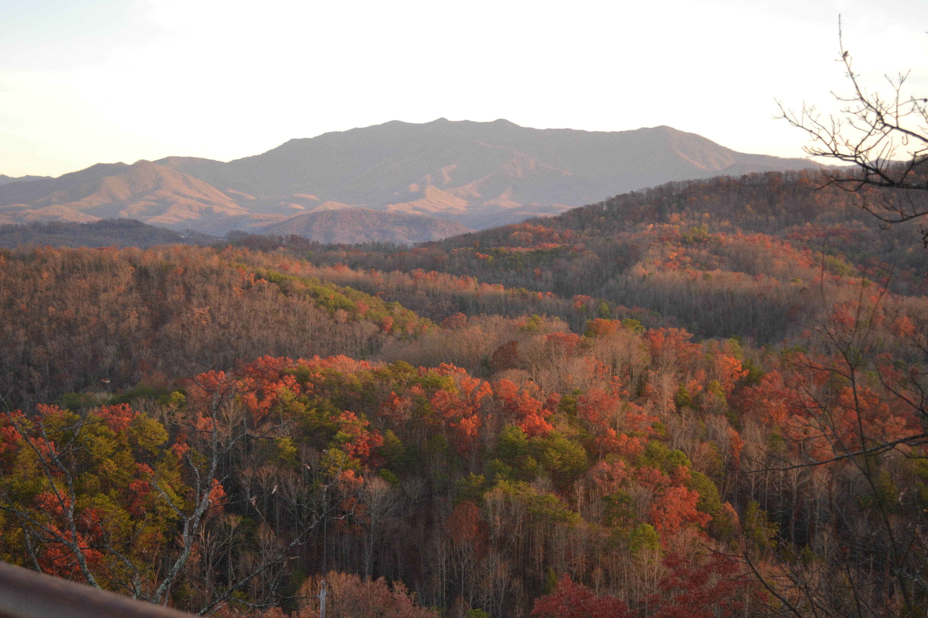 A mountainous landscape with autumn foliage.