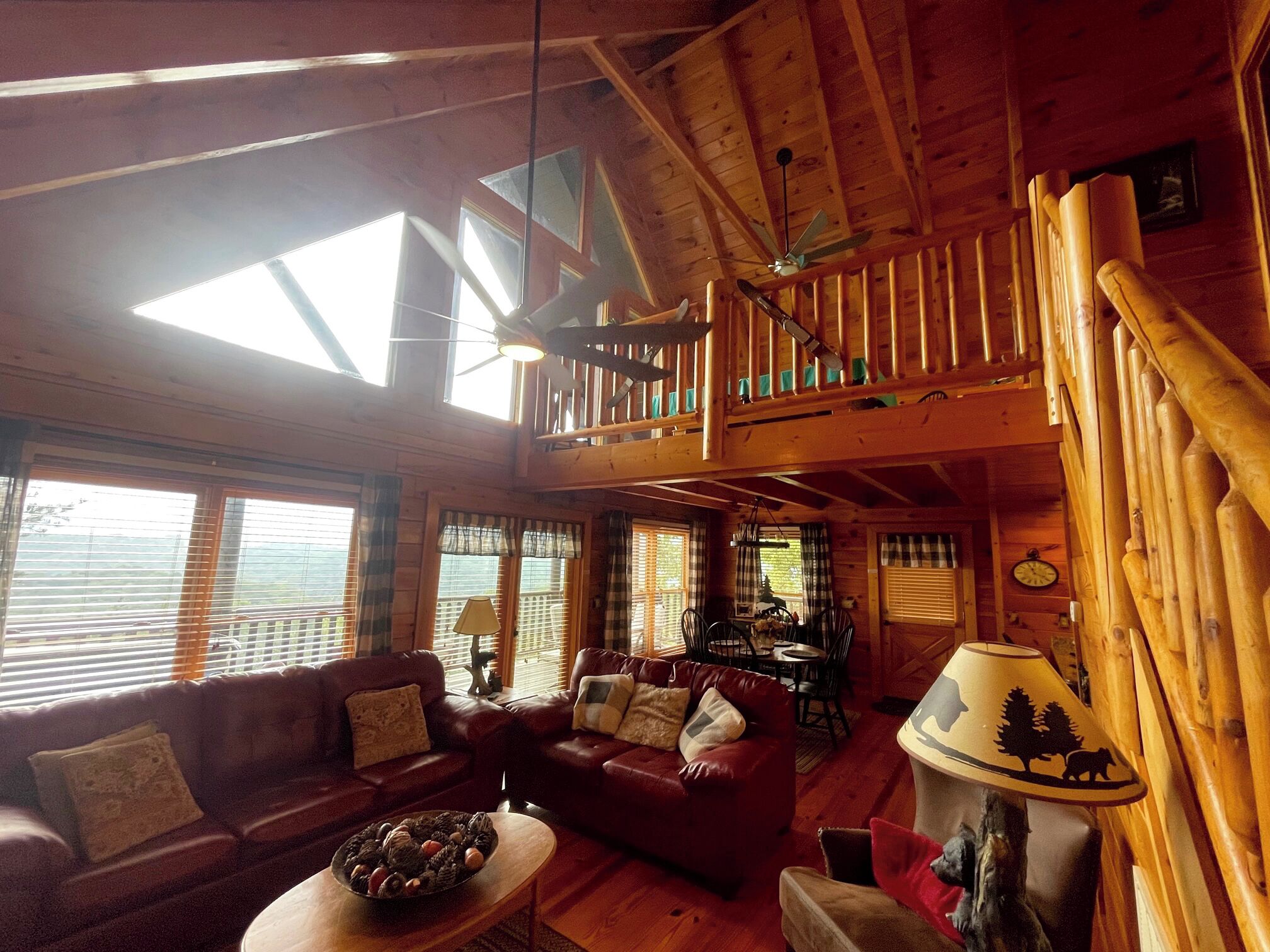 智能电视、壁炉、书、音乐库