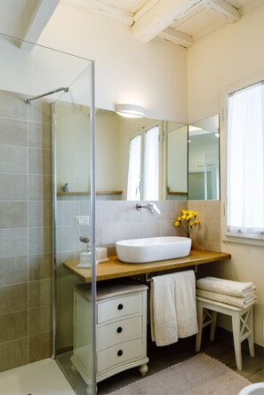 Shower, hair dryer, bidet, towels