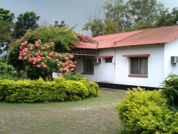 A white building with a red roof, surrounded by well-maintained hedges and a flowering tree.