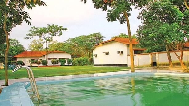 Una piscina con escalera metálica, rodeada de árboles y dos edificios blancos con tejados rojos.