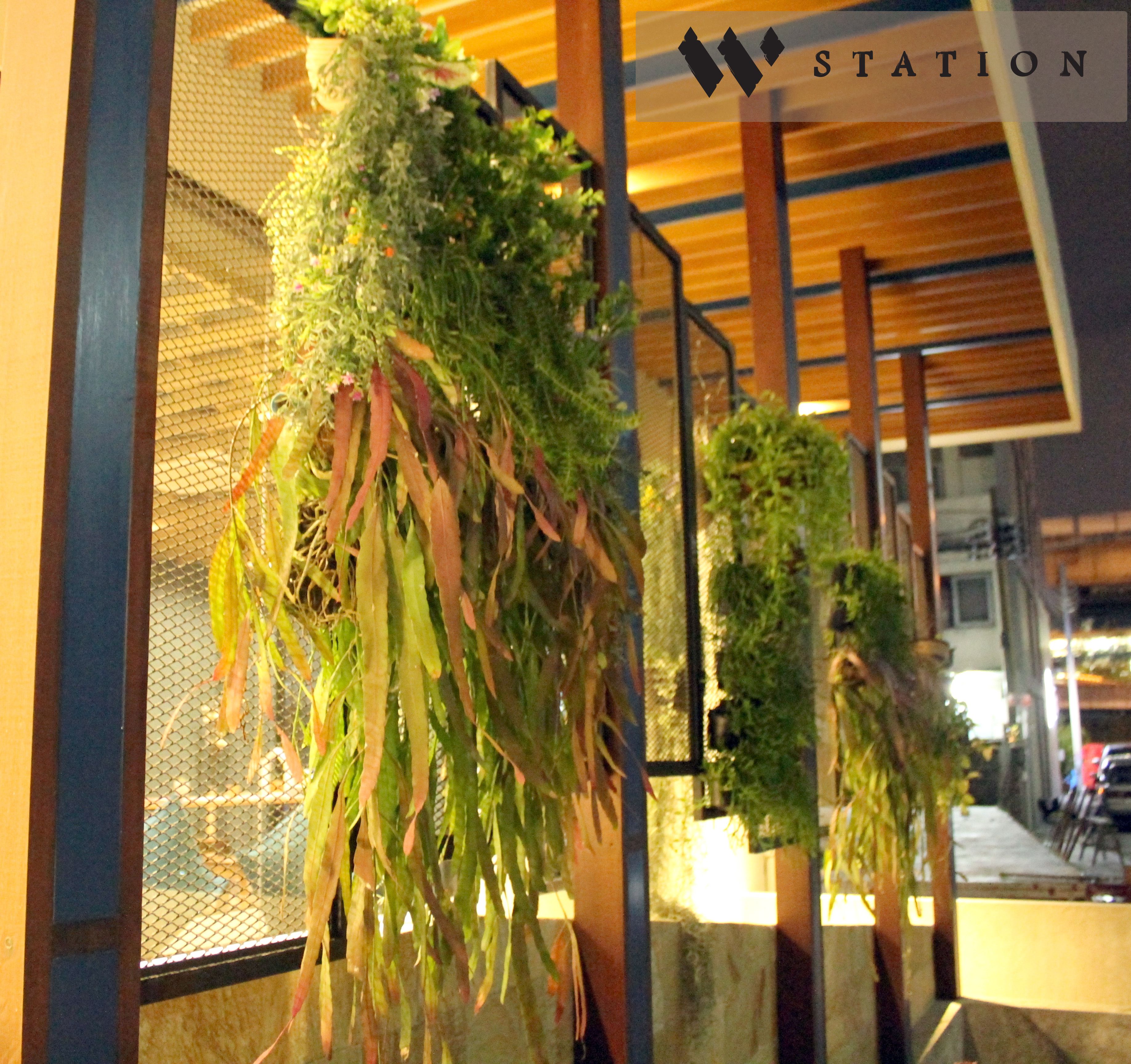 Photo - W Station