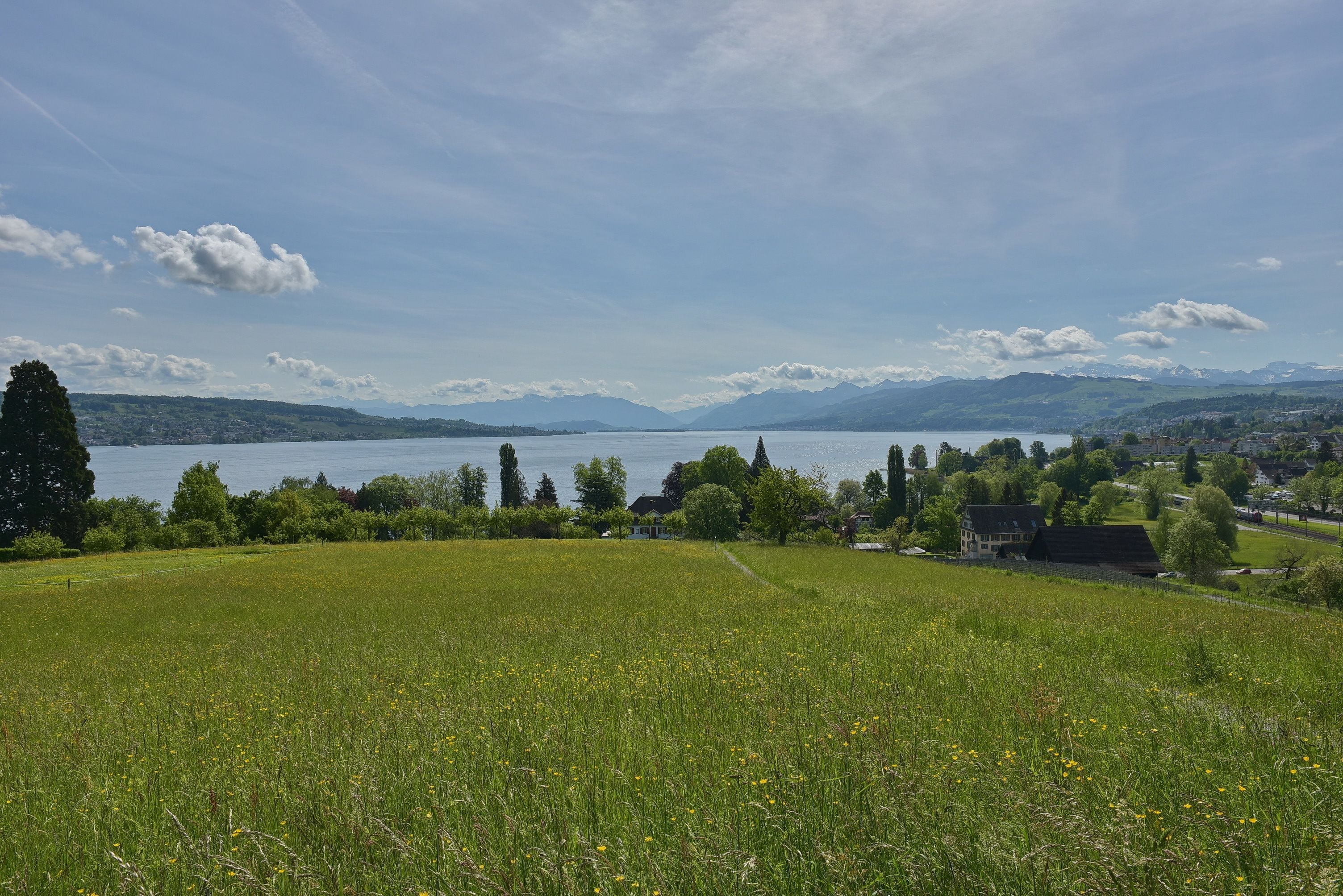 View from property