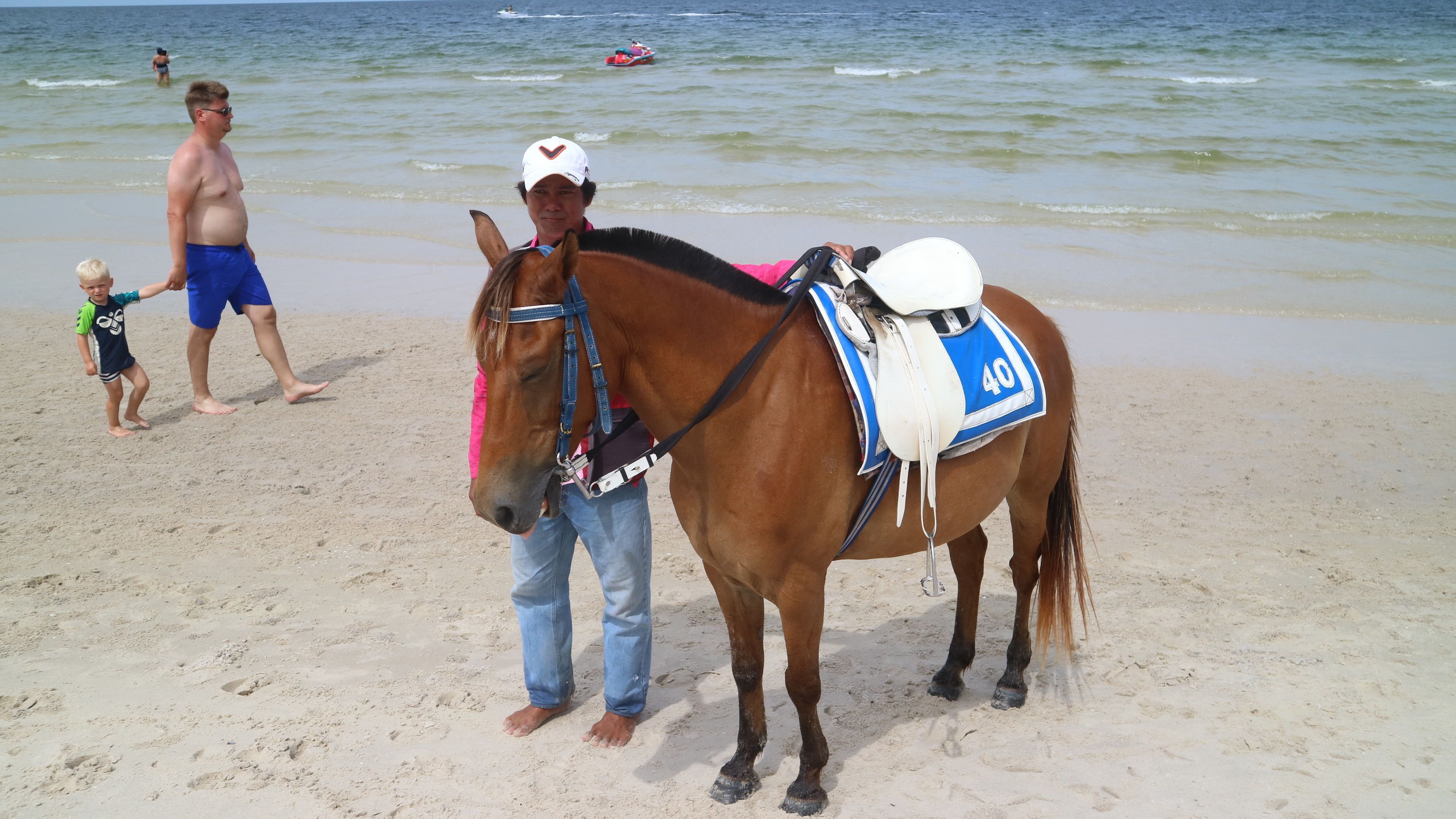 Un cheval, avec une selle et un cavalier, se trouve sur une plage de sable près de l’océan.