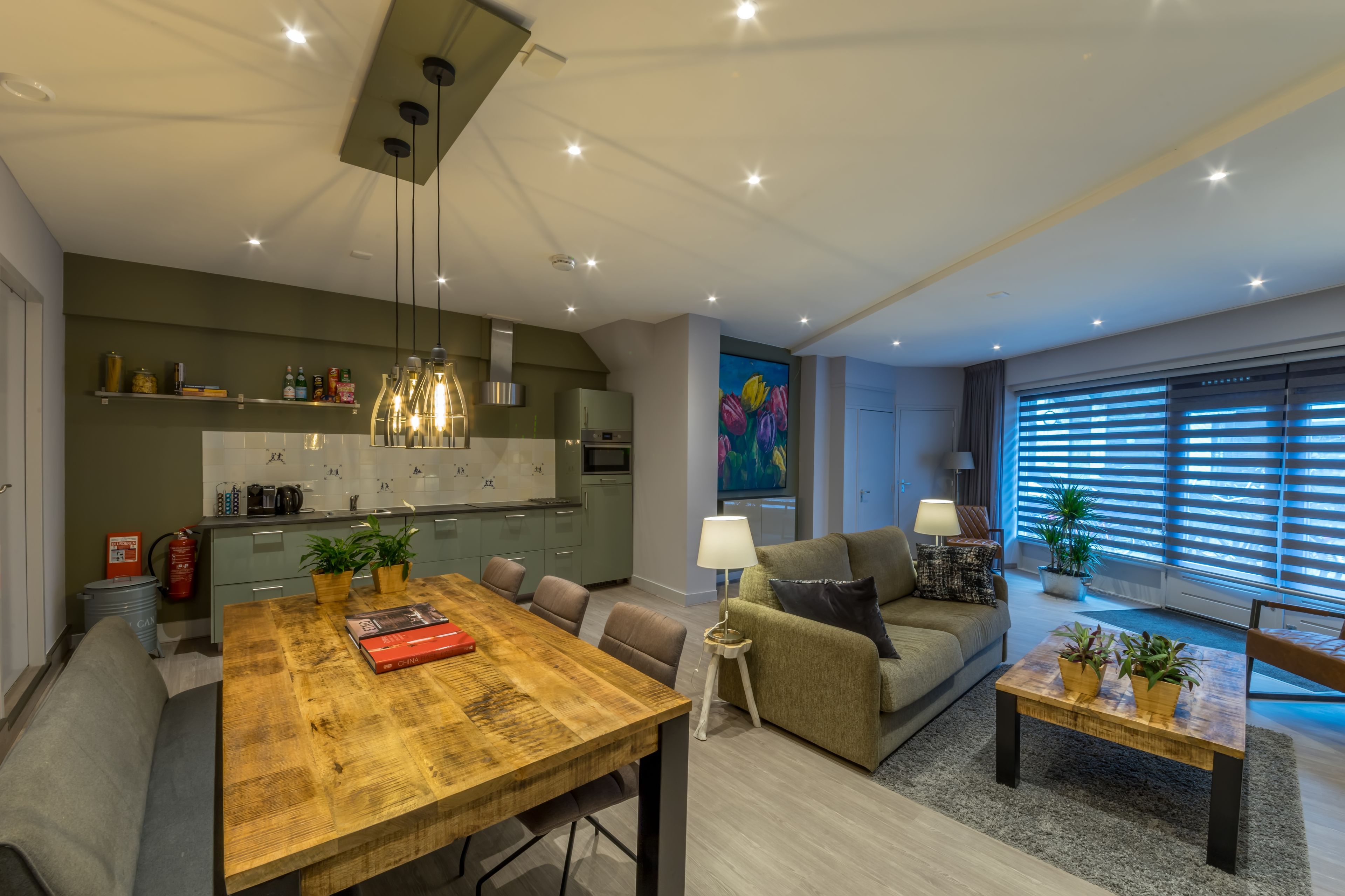 デラックス アパートメント 1 ベッドルーム キッチン 1 階 (Tulp) | リビングルーム | 薄型テレビ