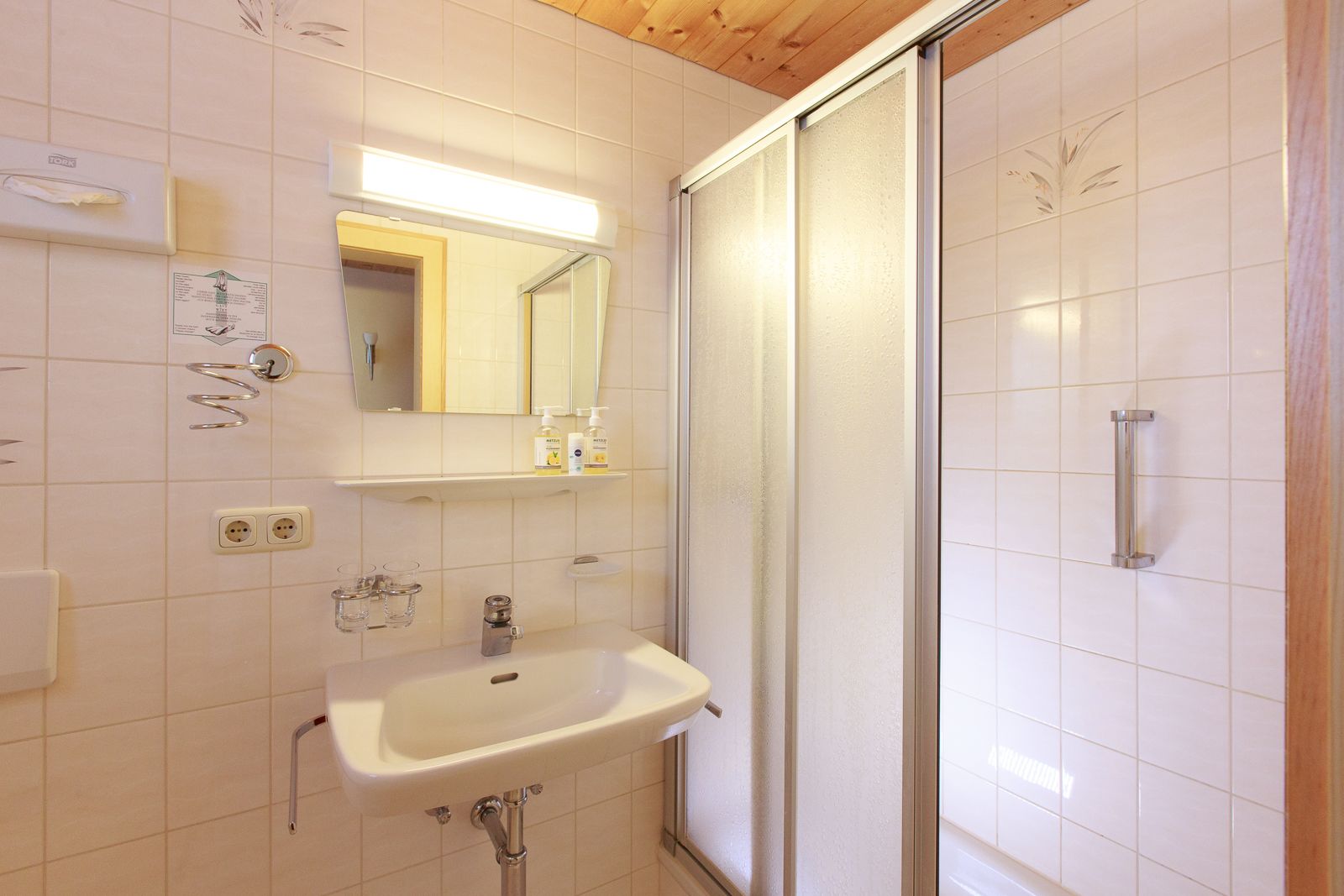 single room, mountain view | bathroom shower