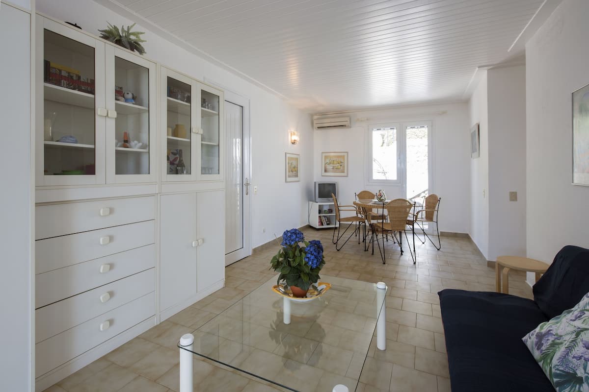 Apartment, 1 Bedroom, Sea View, Beachfront | Living area | Plasma TV