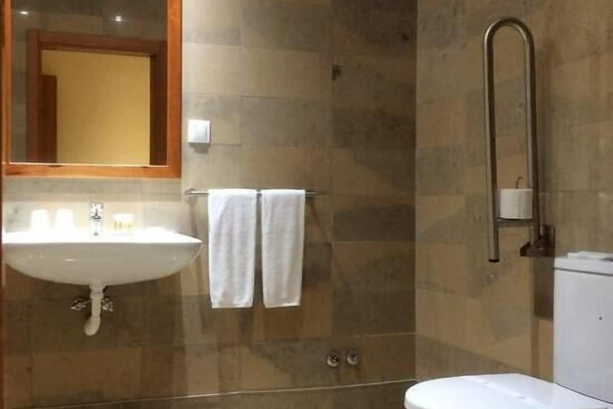 double room, accessible | bathroom amenities | shower, rainfall showerhead, free toiletries, towels