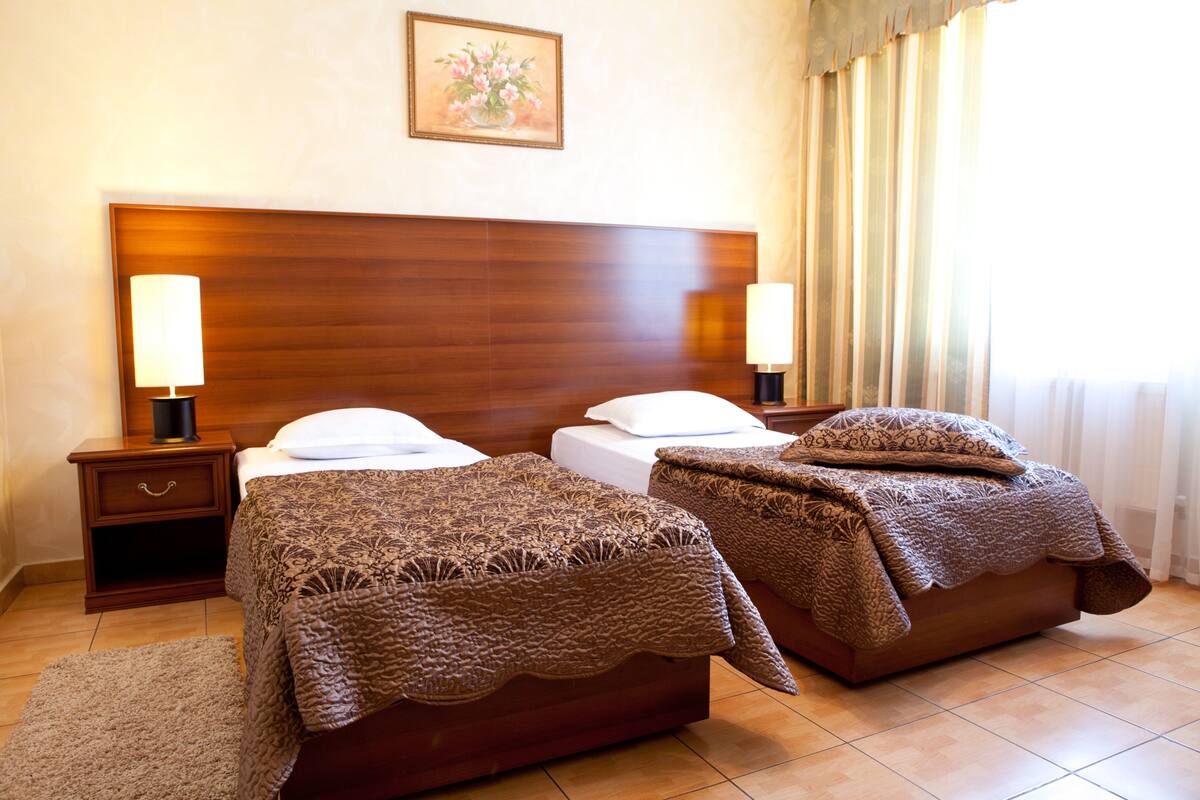 Standard Twin Room | Desk, soundproofing, iron/ironing board, rollaway beds (surcharge)