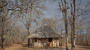 Een rustieke hut met rieten dak, omringd door bomen in een natuurlijke omgeving.
