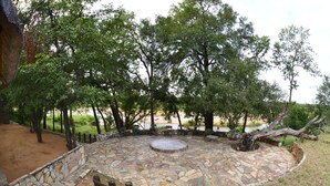 Grill-/Picknickplatz