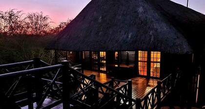 Lion Tree Bush Lodge