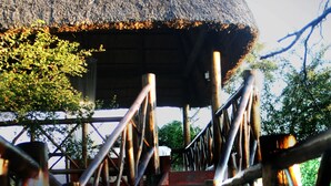 Eine Holztreppe führt zu einem strohgedeckten Gebäude, das von Bäumen umgeben ist.