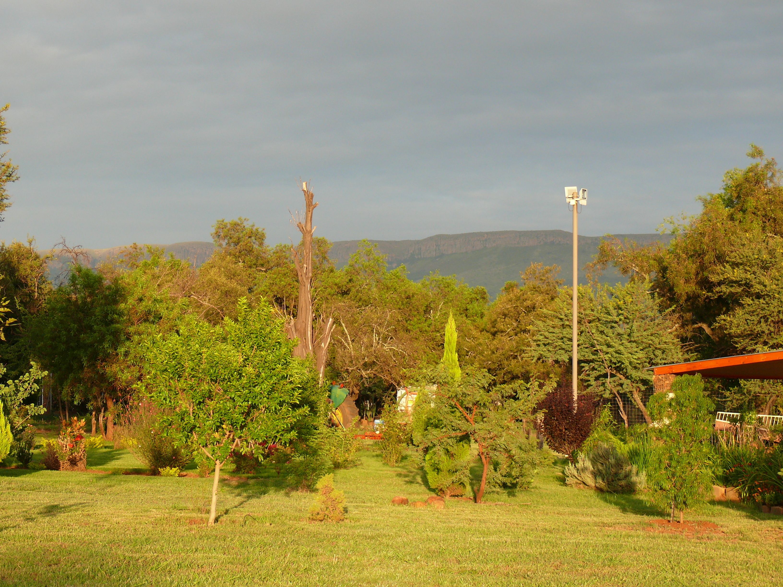 A garden with various trees and shrubs, a clear sky, and distant mountains.