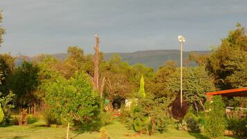 A garden with various trees and shrubs, a clear sky, and distant mountains.