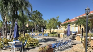 Ein Poolbereich mit Liegestühlen und Sonnenschirmen, umgeben von Palmen und Topfpflanzen.