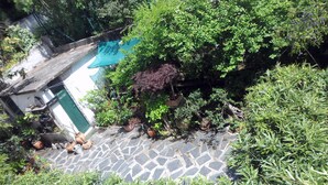 Un jardín con plantas en macetas y un sendero de piedra.