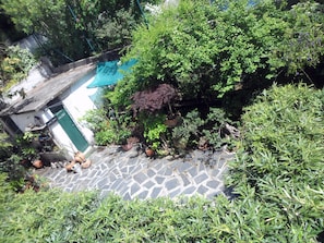 Vista desde la propiedad