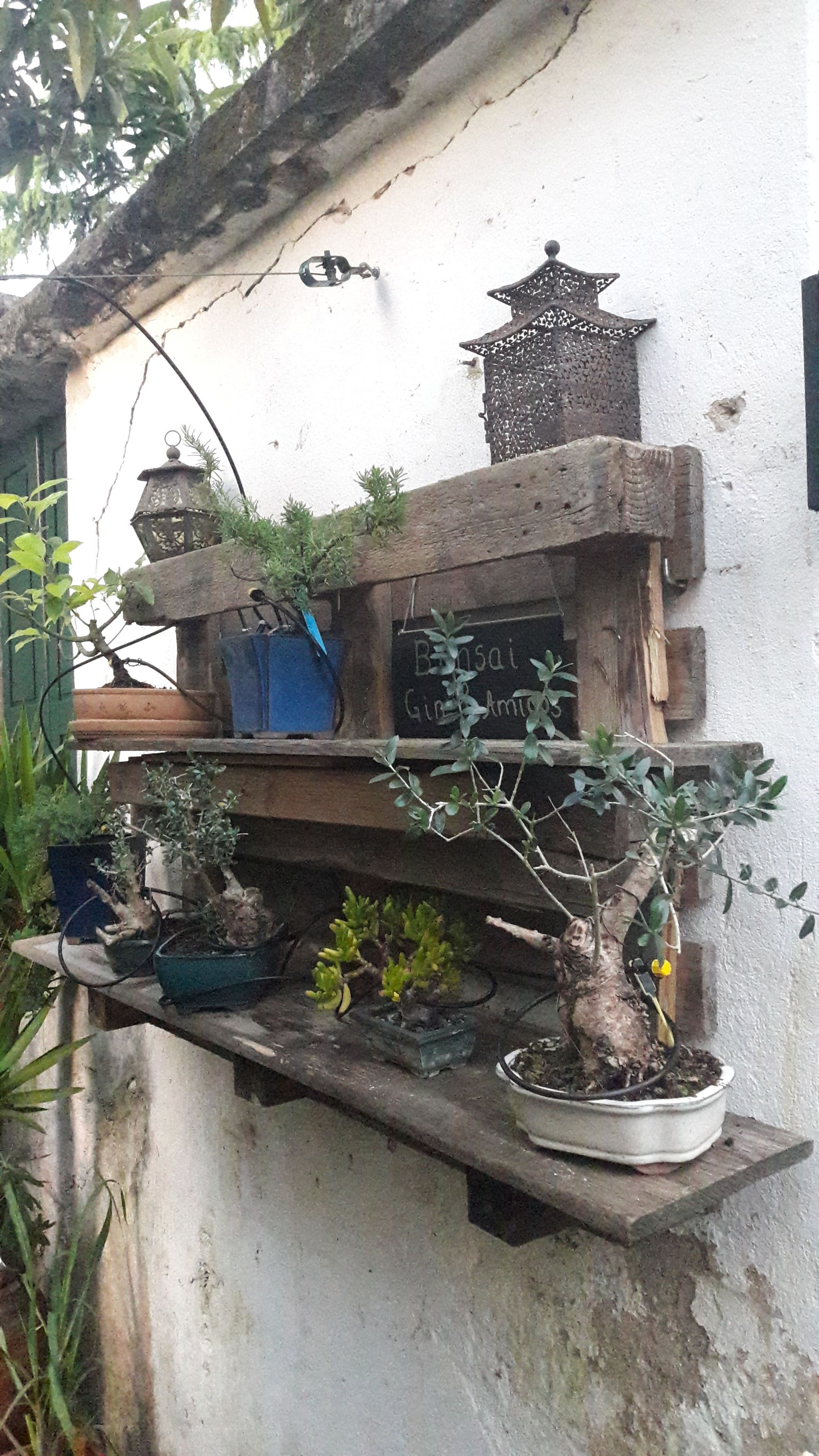 Photo - Casa Coimbra