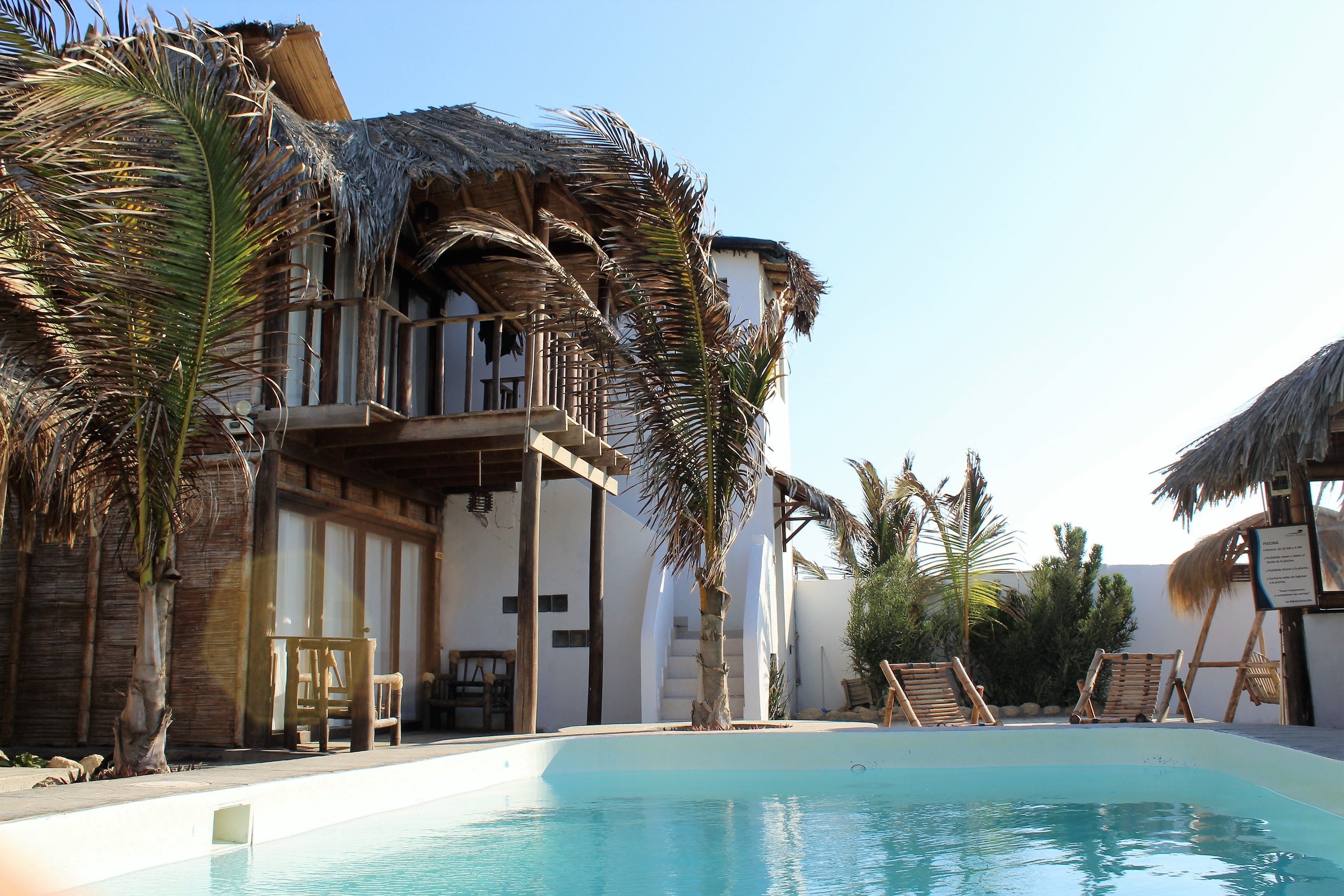 Outdoor pool, sun loungers