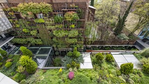 Un jardín en la azotea con diversas plantas y un invernadero de vidrio.