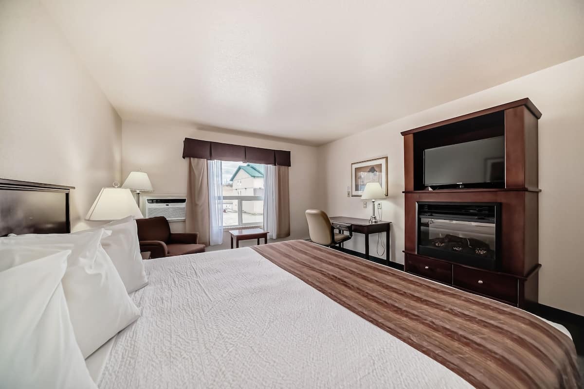 Room, 1 King Bed | Iron/ironing board, free cribs/infant beds, rollaway beds, free WiFi
