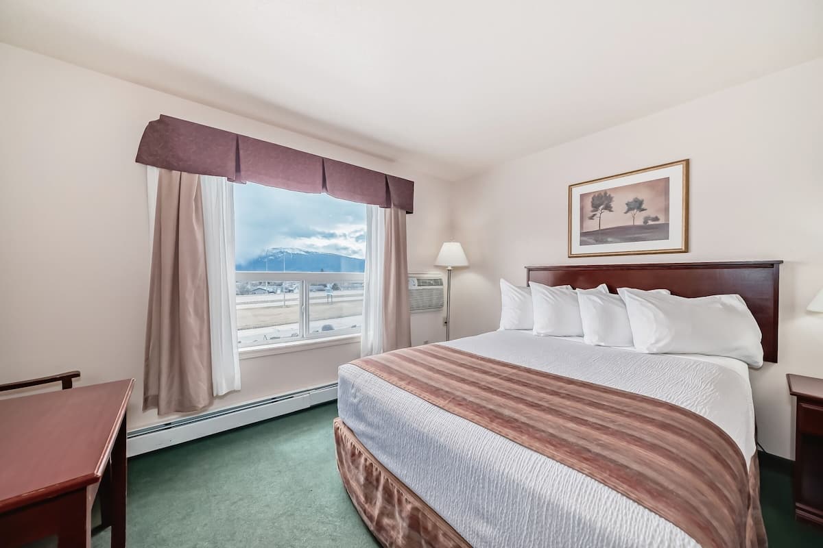 Room, 1 Queen Bed | Iron/ironing board, free cribs/infant beds, rollaway beds, free WiFi