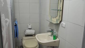A small bathroom with a toilet, sink, and mirror.