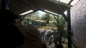 A covered outdoor area with a metal roof, a concrete wall, and a palm tree. - Hostal Davinci Mitad del Mundo (San Antonio de Pichincha)