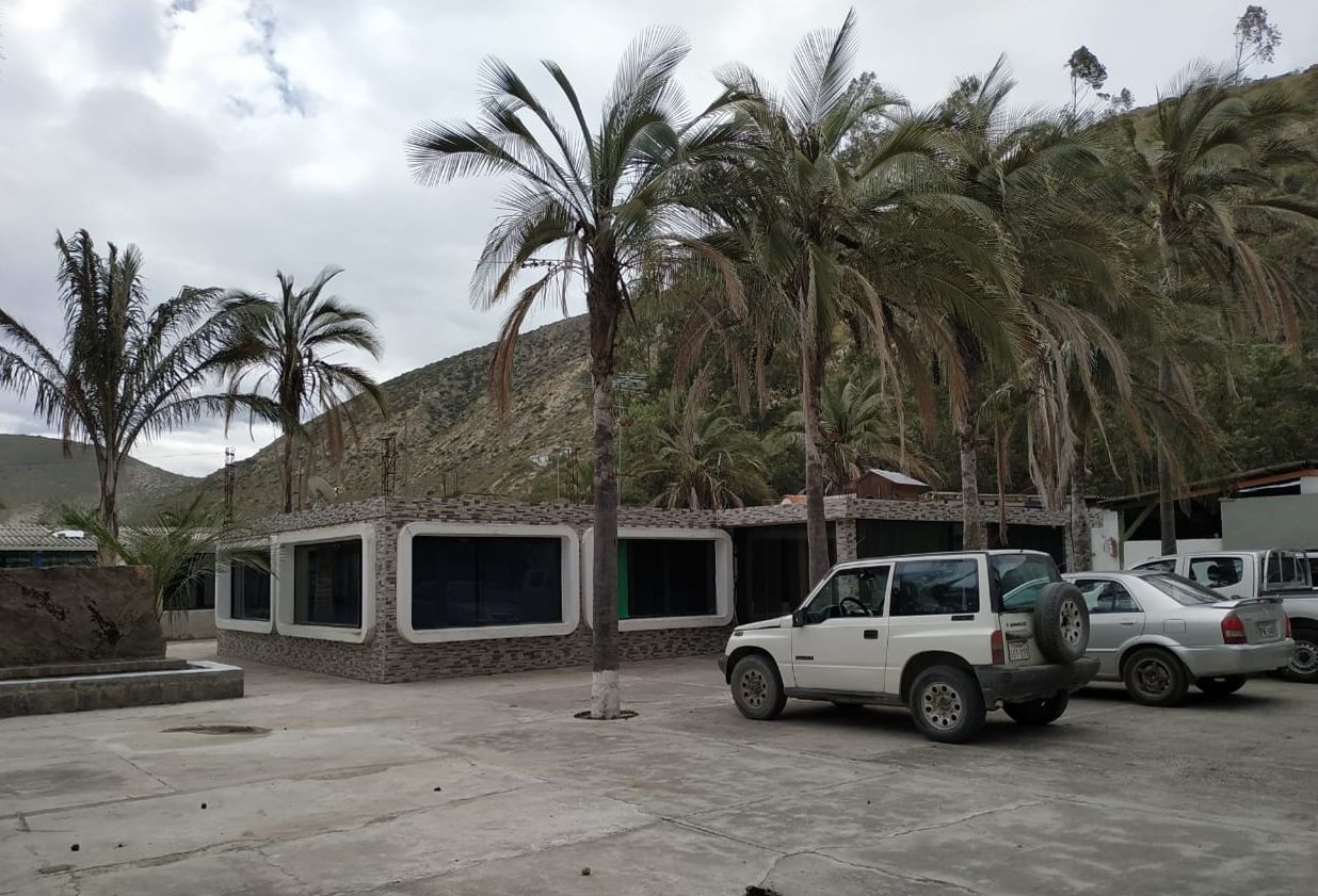 A parking area with a white car, palm trees, and a building with large windows.