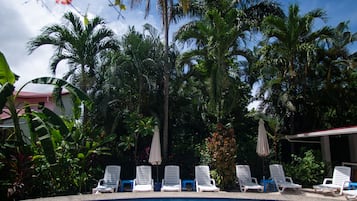 Outdoor pool, open 8:00 AM to 8:00 PM, pool umbrellas, pool loungers