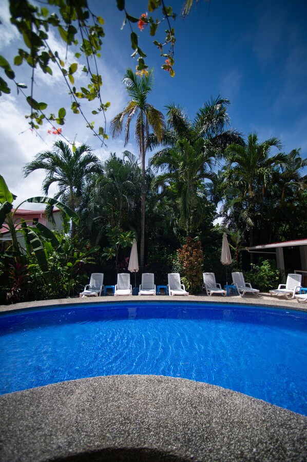 Outdoor pool, open 8:00 AM to 8:00 PM, pool umbrellas, pool loungers