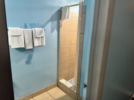 Shower, free toiletries, hair dryer, towels. Westgate Manor Motel Austintown-Younstown, Ohio
