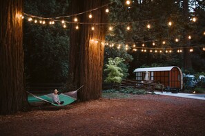 View from room - AutoCamp Sonoma (Guerneville)