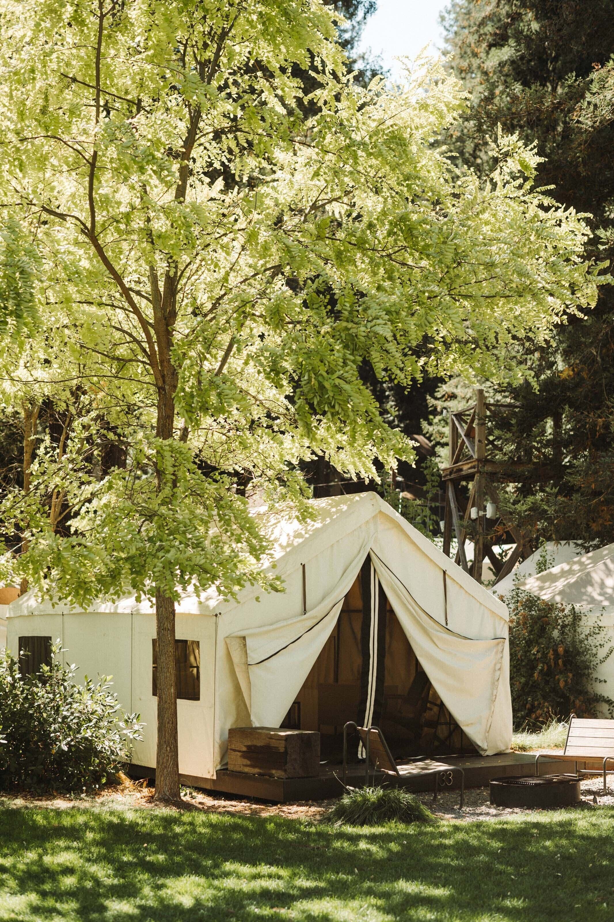 A white tent with a triangular entrance, surrounded by trees and a wooden structure in the background.
