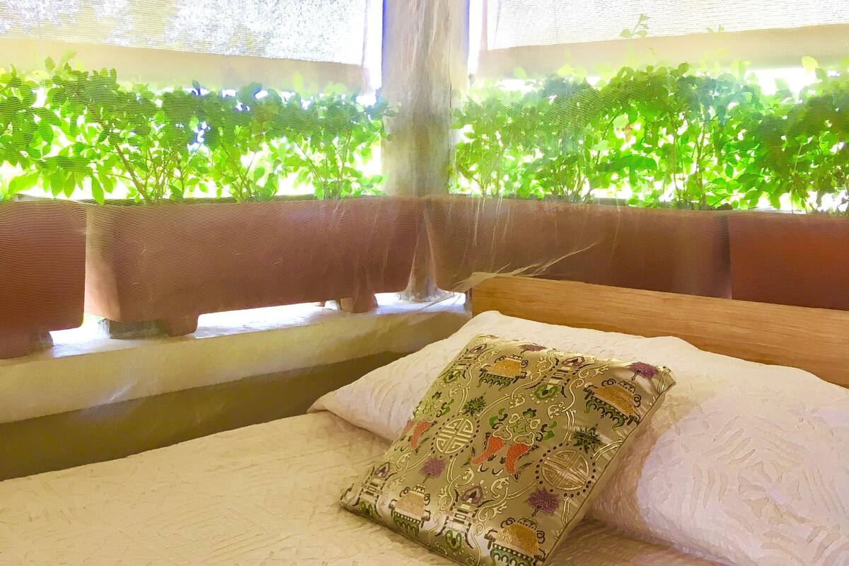 A bed with a patterned pillow, a wooden headboard, and a view of green foliage through a window.