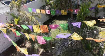 Sayulita Kart Inn