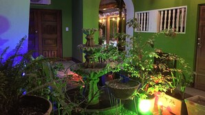 Un patio con una fuente, plantas en macetas y un muro verde.