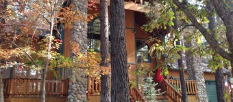  Ponderosa Lodge 2 Bd Rm Plus Loft, Huge Windows, Enclosed Deck, Wooded 1/2 Acre