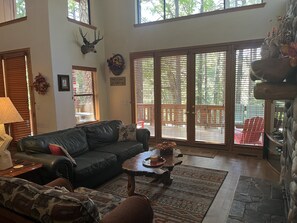 テレビ、暖炉、DVD プレーヤー、ステレオ