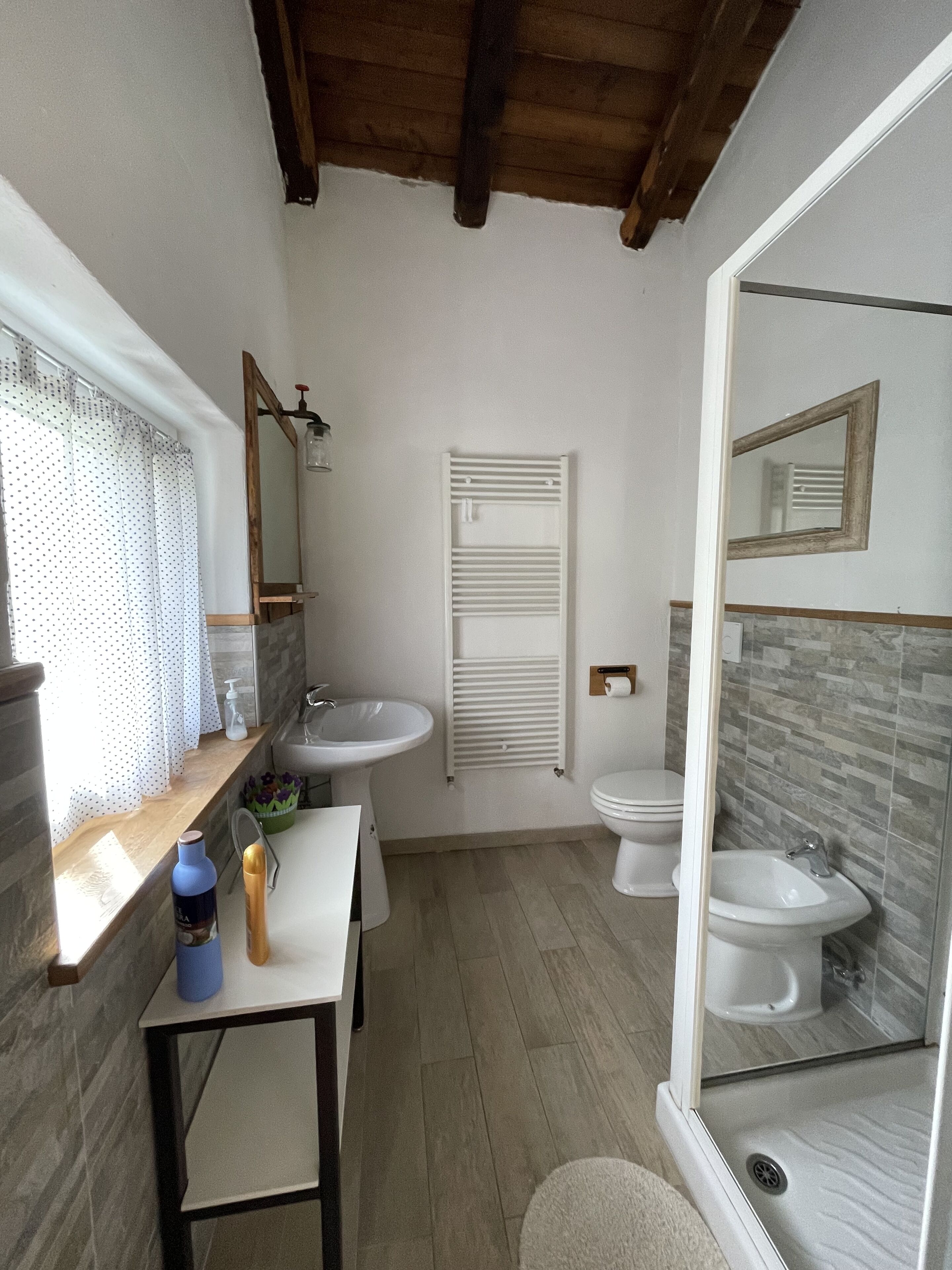 Shower, hair dryer, bidet, towels