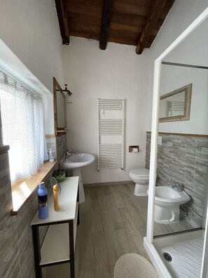 Regadera, secadora de cabello, bidet, toallas 