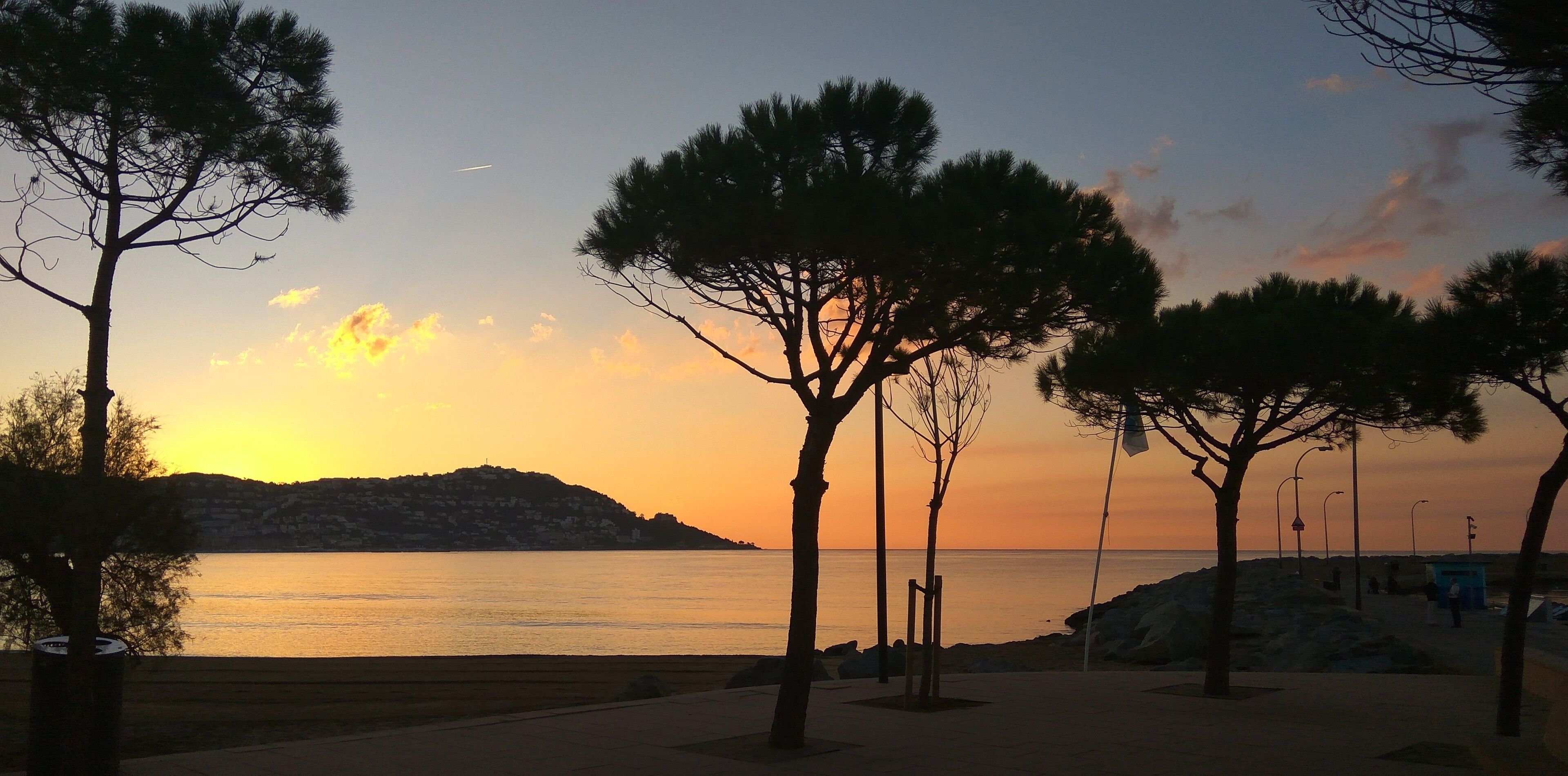 Une vue sur le coucher de soleil en bord de mer, avec des arbres et une colline au loin.