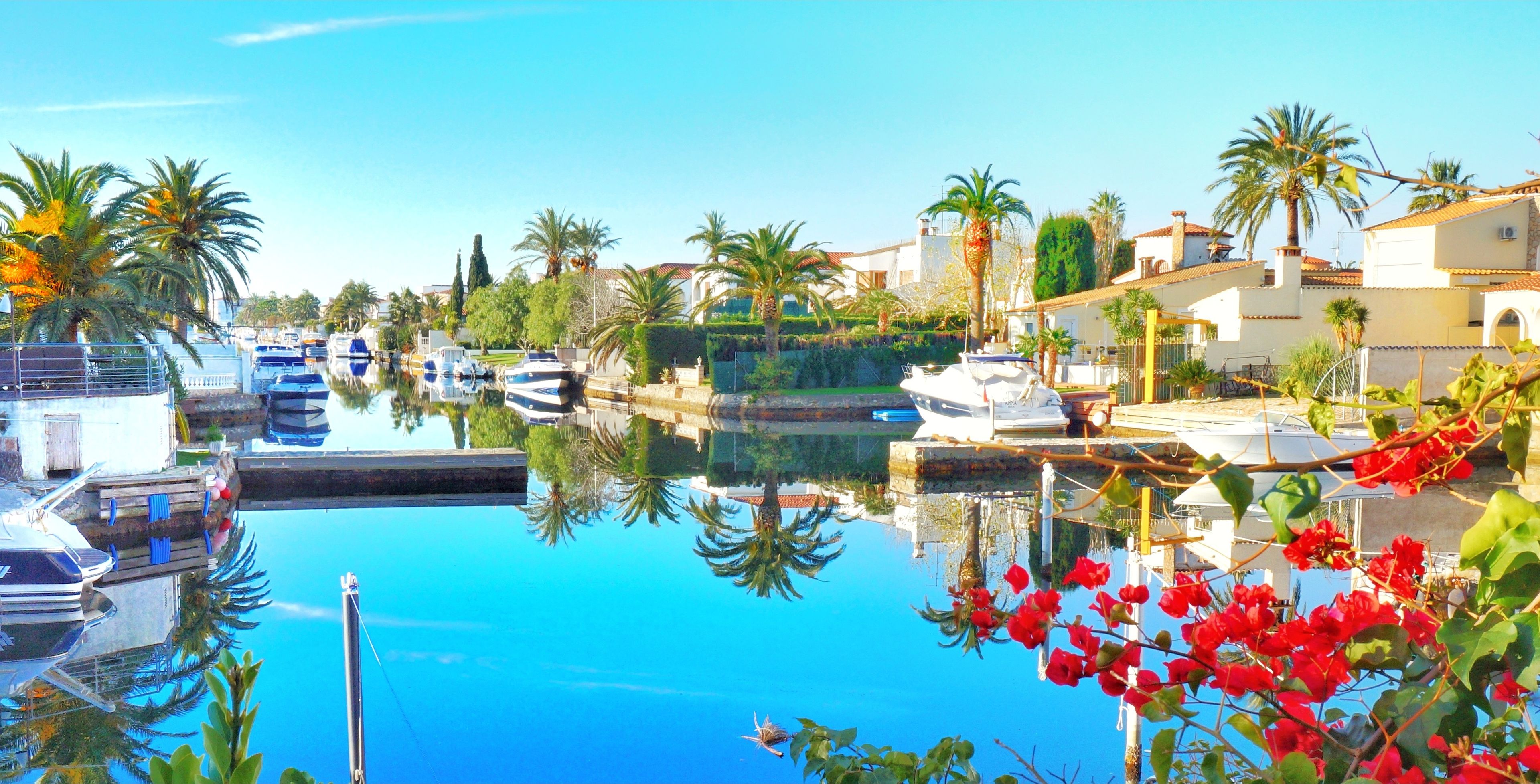 A marina with boats docked, surrounded by palm trees and houses.