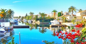 A marina with boats docked, surrounded by palm trees and houses.