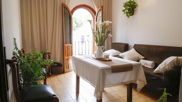 Una sala de estar acogedora con un sofá, una mesa de comedor con un florero y una planta en maceta.