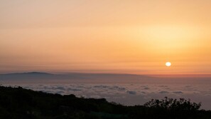 Botón de imagen sin clasificar, 5 de 21