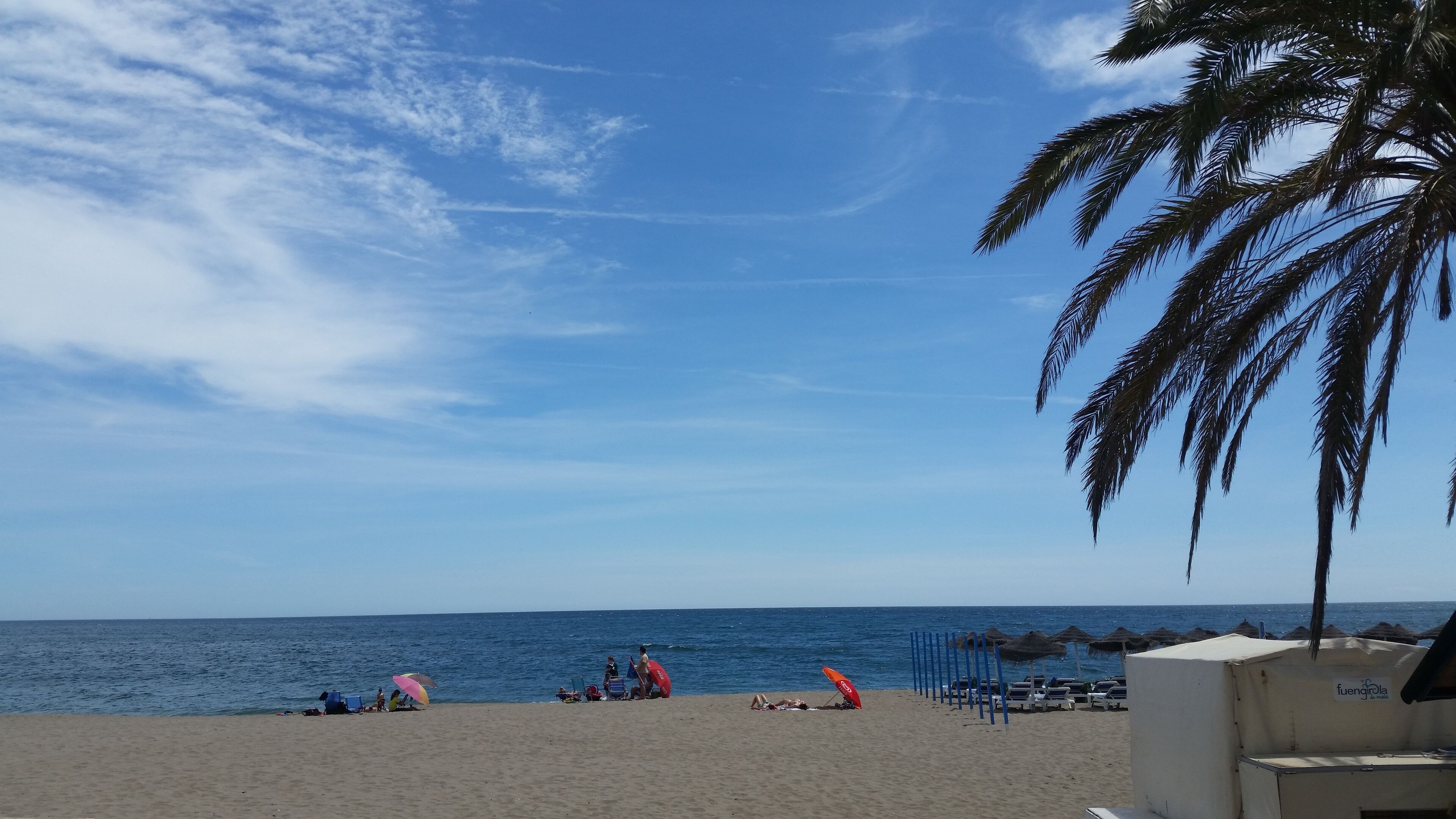 En strand med palmer, klar blå himmel og havet.